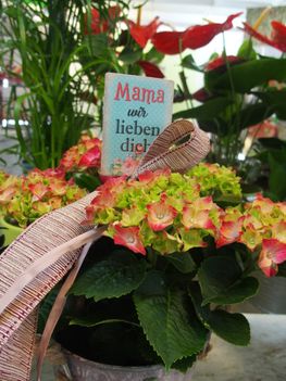 Muttertagsgeschenk Blumen Ressmann 